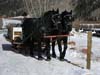 Sleigh ride to the Pine Creek Cookhouse